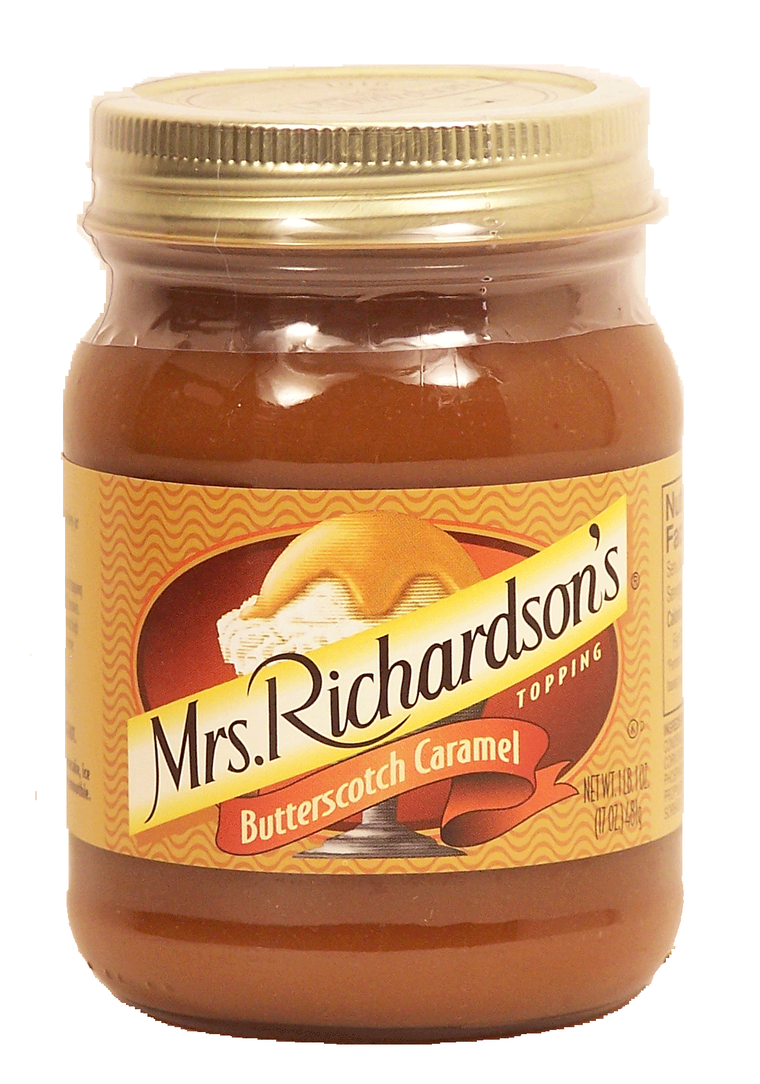 Mrs Richardson's  butterscotch caramel topping Full-Size Picture